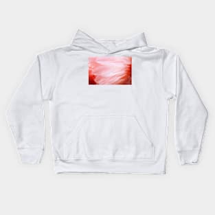 Flamingo Feathers Kids Hoodie